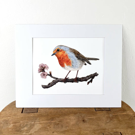 European Robin with blossoms