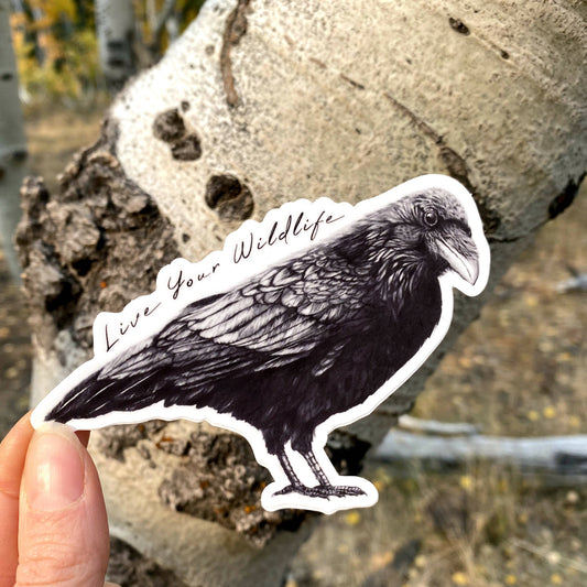Raven Nevermore vinyl sticker
