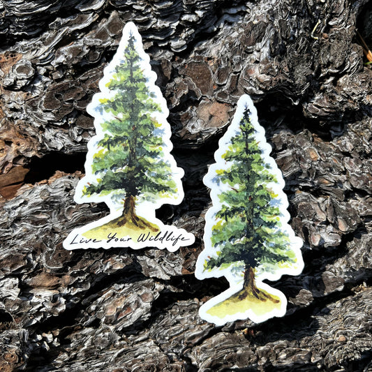 Pine Tree (watercolor) vinyl sticker
